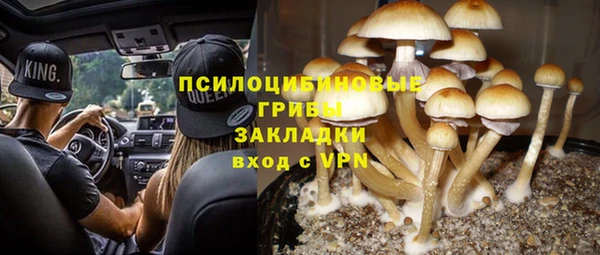 мдпв Бронницы