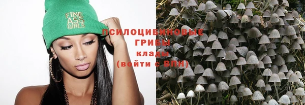 мдпв Бронницы