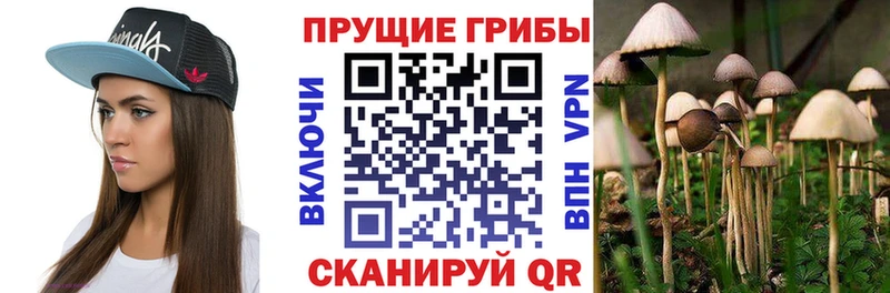 Галлюциногенные грибы MAGIC MUSHROOMS  shop формула  Пересвет  где купить  